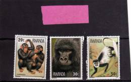 RWANDA 1978 MONKEYS MONKEY SCIMMIE SCIMMIA MNH - Unused Stamps