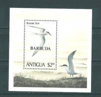 Barbuda: BF 53 **  Sternes - Möwen