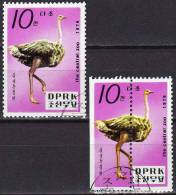 Verschnitt Beim Vogel Strauß Zentral-Zoo Pjöngjang 1979 Korea 1906 A Plus C O 120€ WWF Zoovögel Fauna Birds Set Of Corea - Perforadas