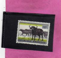 RWANDA 1964 BUBALUS ANIMALS - ANIAMLI MNH - Ongebruikt