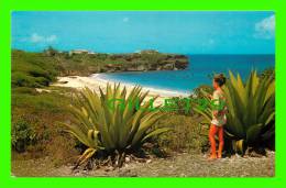 ST. PHILIP, BARBADOS, W.I. - FOUL BAY - ANIMATED - PUB. BY WAYFARER BOOKSTORE - - Barbados
