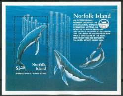 1995 Norfolk Island Squali Sharks Requins Pesci Fishes Fische Poissons Block MNH** C184 - Wale