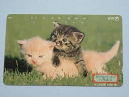 CHAT / CAT / KAT / POES ( NTT Japan ) ! - Cats