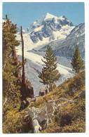 C1073 Tschiervagletscher Und Piz Roseg / Viaggiata 1964 - Tschierv