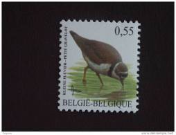 België Belgique Belgium 2004 Vogels Oiseaux Buzin Kleine Plevier Petit Gravelot 3267 MNH ** - 1985-.. Uccelli (Buzin)