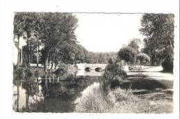 LA FERTE-SAINT-AUBIN  - Le Pont Du Cosson - La Ferte Saint Aubin