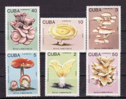 Cuba 1989 -  Yv. No. 2907/12 Neufs** - Ongebruikt