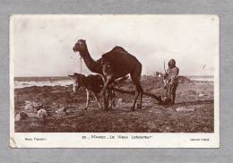 30739     Marocco,  Agadir,  Le  Vieux  Laboreur,  VG  1939 - Agadir