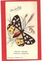 12 / 8 / 360  - Carte Pub. Chocolat  Louit  - Papillon - Insects