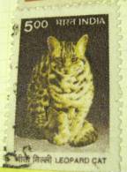 India 2000 Leopard Cat 5.00 - Used - Used Stamps