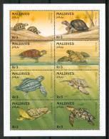 1995 Maldive Tartarughe Turtles Tortues Set MNH** C81 - Schildpadden