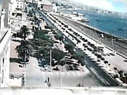 CIVITAVECCHIA  VIALE GARIBALDI V1960  DX4326 - Civitavecchia