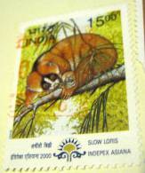 India 2000 Slow Loris  15.00 - Used - Used Stamps