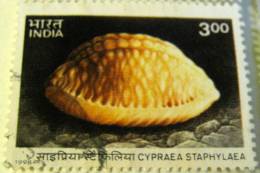 India 1998 Cypraea Staphylaea Shell 3.00 - Used - Usados