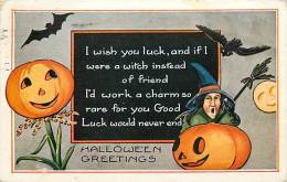 193505-Halloween, Whitney No WH27-7, JOL Head Plant, Witch With Broom, Bat, 1925 PM - Halloween