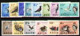 ASCENSION 1963 - BIRDS Set Of 14, V.F. Used. - Ascension (Ile De L')