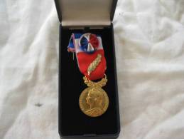 Medaille Du Travail Or 35 Ans Avec Nom Gravé Dans Son Boitier - Frankreich