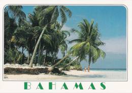 CARTE POSTALE - LES BAHAMAS - Andere & Zonder Classificatie