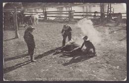 United States PPC ND - 151. - Branding "Slick Ears", Flathead Reservation MINOT North Dakota 1908 Flag Cds. (2 Scans) - Andere & Zonder Classificatie