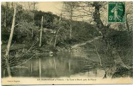 86 LA TRIMOUILLE ++ La Cave à Biard, Près St-Pierre ++ - La Trimouille