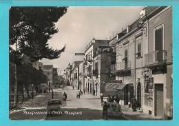 MANFREDONIA CORSO MANFREDI CARTOLINA FORMATO GRANDE VIAGGIATA NEL 1965 - Manfredonia