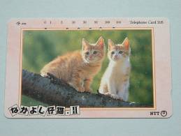 CHAT / CAT / KAT / POES ( NTT Japan ) ! - Cats