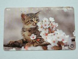 CHAT / CAT / KAT / POES ( NTT Japan ) ! - Cats