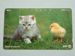 CHAT / CAT / KAT / POES ( NTT Japan ) ! - Cats