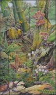 Wild Mushroom Fungus Fungi Flora MS Stamp Taiwan MNH - Colecciones & Series