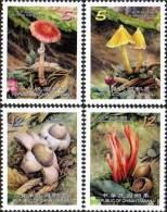 2012 Wild Mushroom Fungus Fungi Flower Flora Plant Taiwan Stamp MNH - Lots & Serien