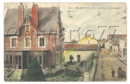 Blain (44) : La Rue Du Château Et La Villa Château En 1905 (animée). - Blain