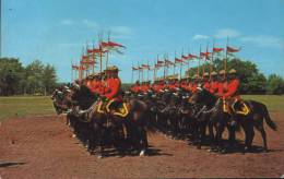 Canada-Postcard-The Famed Royal Canadian Mounted Police Drilling For The Colorful Musical Ride-unused - Policia – Gendarmería
