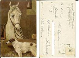 Cani (Levriero) E Cavalli: Cartolina Fp Viaggiata 1907 (firmata). Cane, Dog, Chien, Hund, Cavallo, Horse, Cheval, Pferd - Dogs