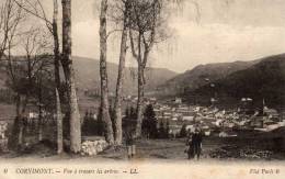 CORNIMONT : (88) Vue à Travers Les Arbres - Cornimont