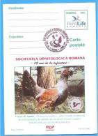 Blackcock, Birds, Bird Romania Postal Stationery Postcard 2000 - Cuckoos & Turacos