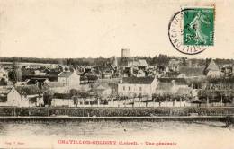 CHATILLON COLIGNY Vue Générale - Chatillon Coligny