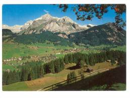 C1148 Wildhaus Im Obertoggenburg Mit Santis Und Schafberg / Viaggiata 1982 - Wil