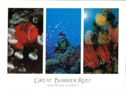 (326) Great Barrier Reef - Otros & Sin Clasificación