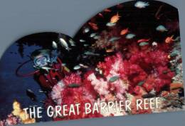 (326) Great Barrier Reef Fish & Diver - Otros & Sin Clasificación
