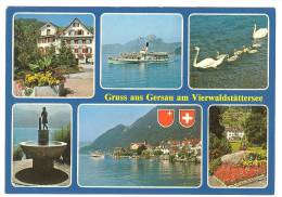 C1169 Gruss Aus Gersau Am Vierwaldstättersee / Viaggiata 1981 - Gersau