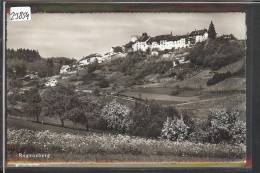 REGENSBERG  - TB ( ADHERENCES AU DOS ) - Regensberg