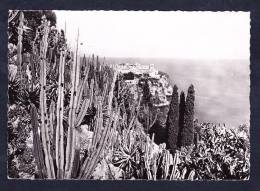 712   MONACO   Vue Prise Du Jardin Exotique   "1950" - Giardino Esotico