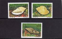 SOMALIA SOOMAALIYEED 1983 SOMALI SHELLS SHELL MARINE FAUNA - MARINA CONCHIGLIE SOMALE - FAUNE COQUILLAGES MNH - Somalia (1960-...)