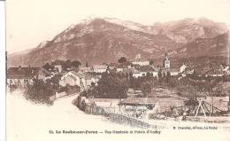 LA ROCHE SUR FORON - Vue Générale Et Pointe D'Andey - La Roche-sur-Foron