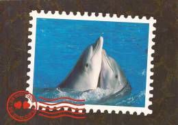 Cp , ANIMAUX , Dauphins , Voyagée - Delfines