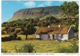 IRELAND-THATCHED COTTAGE IN THE YEATS COUNTRY,BEN BULBEN MOUNTAIN, CO.SLIGO (PUBL.JOHN HINDE) - Sligo