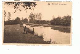 Lichtaart De Kleine Nethe ( Gelopen Kaart ) - Kasterlee