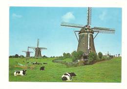 Cp, Pays-Bas, Leidschendam, Buurtschap Wilsveen (Hamlet Of WIlsvee) - Leidschendam