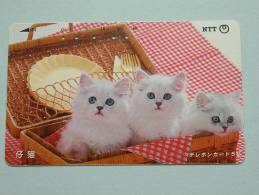 CHAT / CAT / KAT / POES ( NTT Japan ) ! - Cats