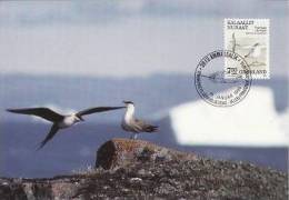 575 - Groenlande 1990 - Carte Maximum - Cartas Máxima